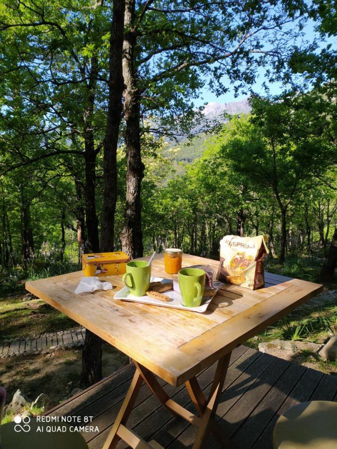 Lodge De Charme Avec Jacuzzi Ghisoni Bagian luar foto