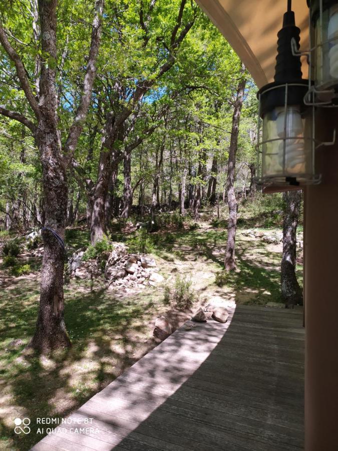 Lodge De Charme Avec Jacuzzi Ghisoni Bagian luar foto