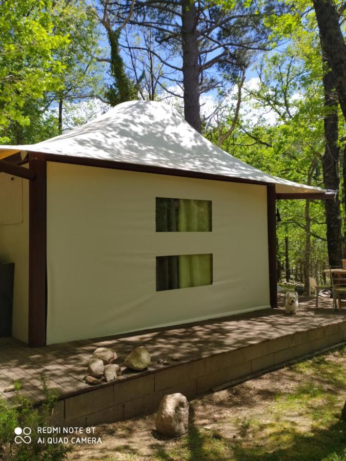 Lodge De Charme Avec Jacuzzi Ghisoni Bagian luar foto